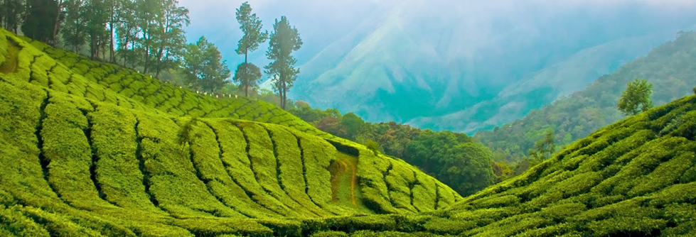 Traveluxeindia